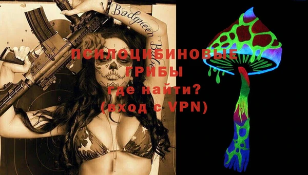 ALPHA PVP Осинники