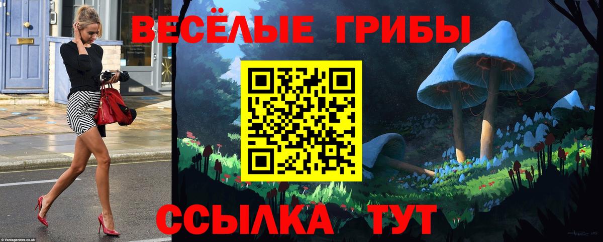 Галлюциногенные грибы Psilocybine cubensis  Вход с VPN  Ялуторовск 